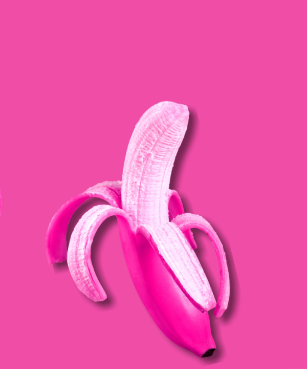 Diseño sin título (15)